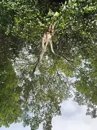Patricio_02 की स्ट्रीम इमेज