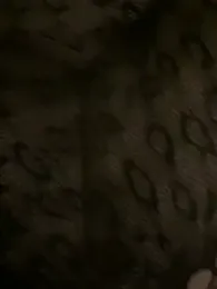 beurettee की स्ट्रीम इमेज